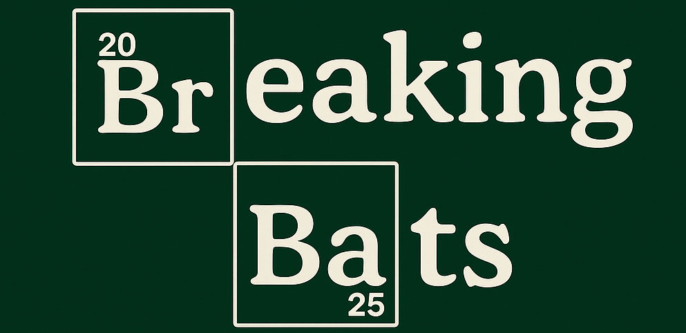Breaking Bats YouTube Channel